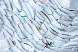 elle kannike, visual artist