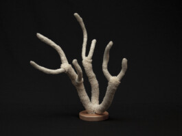 elle kannike, visual artist