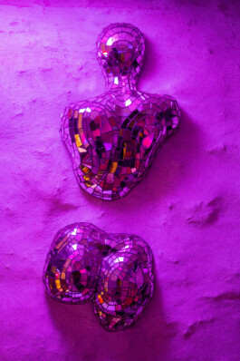 elle kannike, visual artist