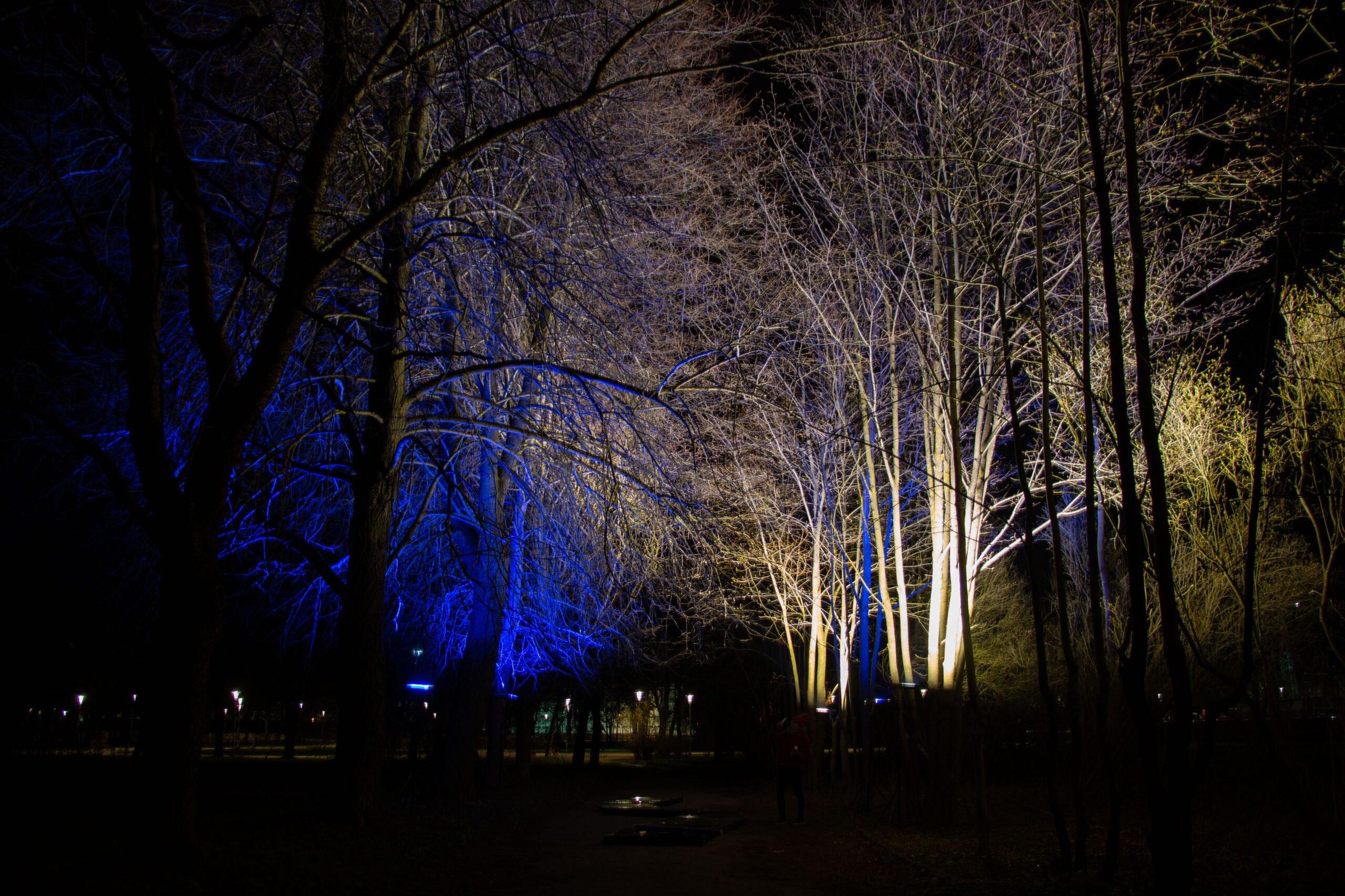 elle kannike, visual artist