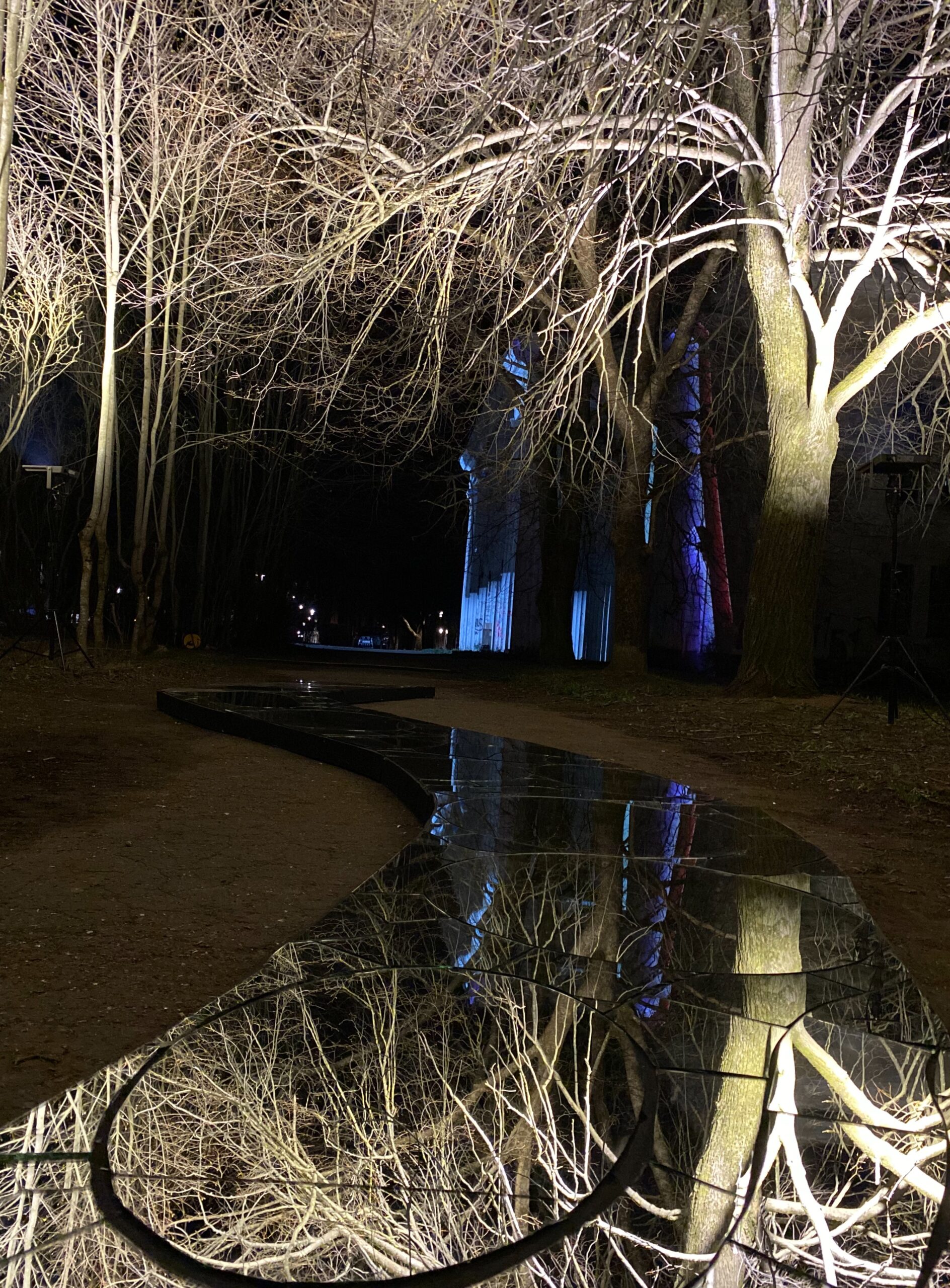 elle kannike, visual artist