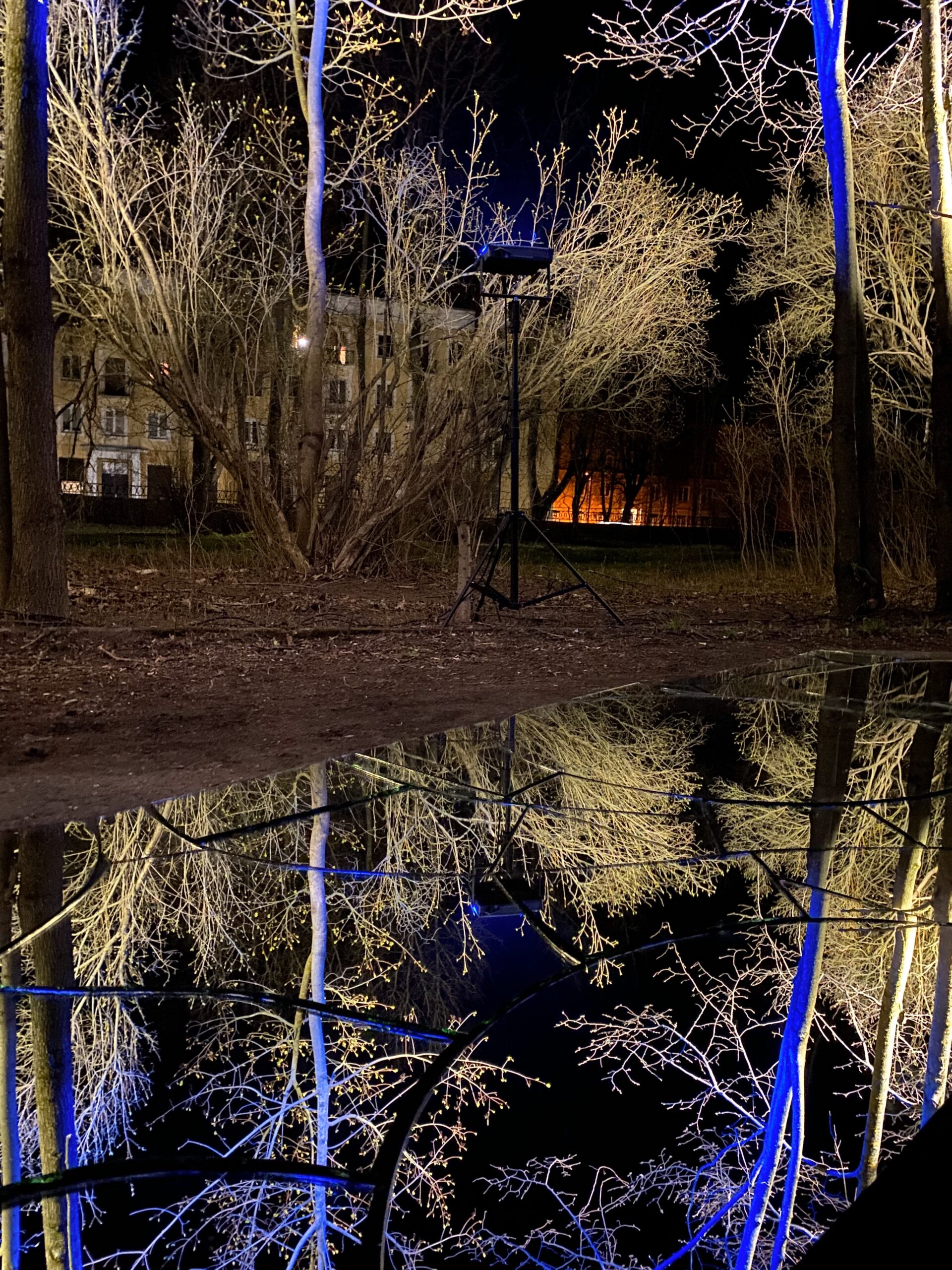 elle kannike, visual artist