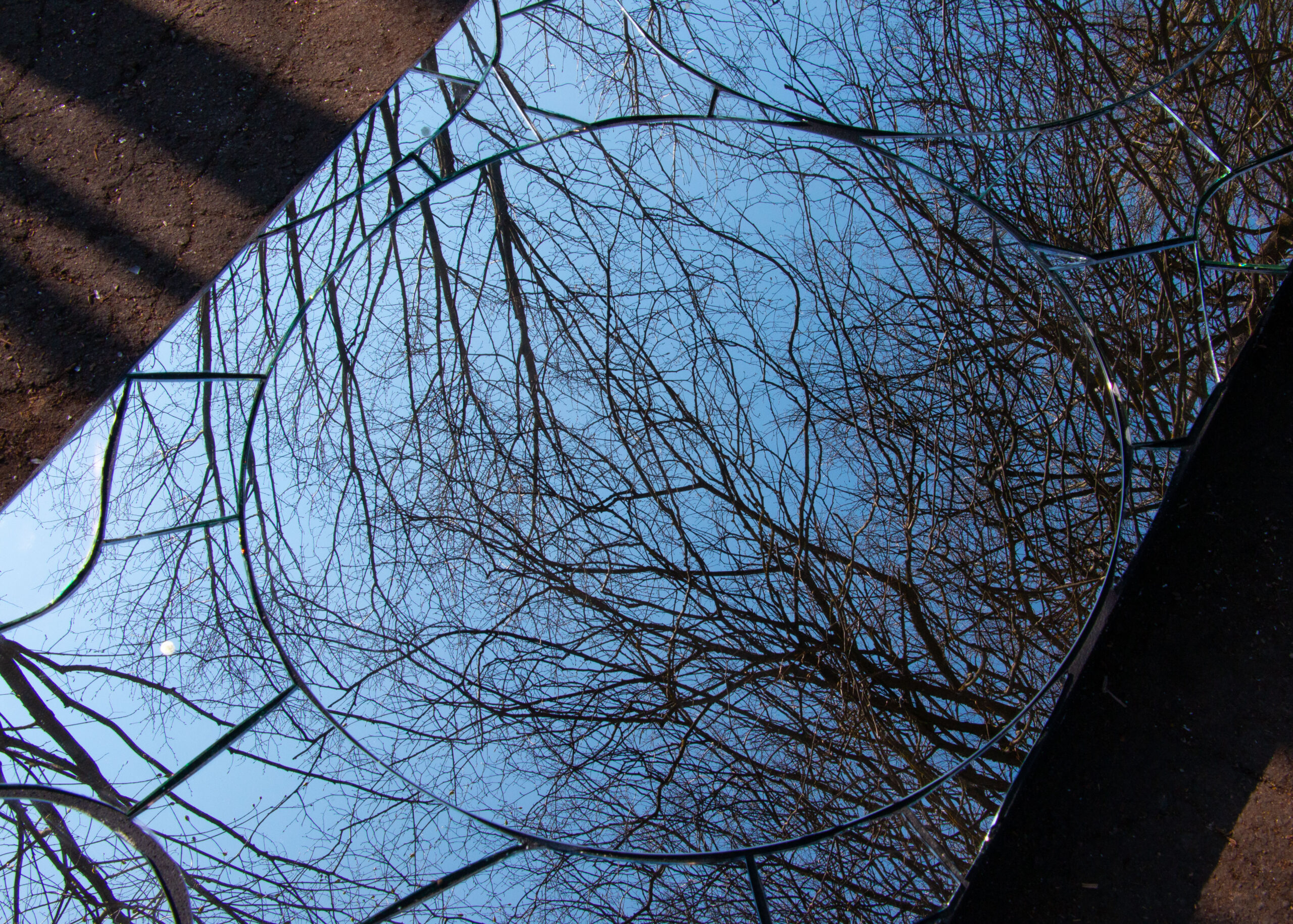 elle kannike, visual artist