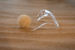 elle kannike, visual artist