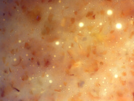 elle kannike, visual artist