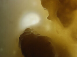 elle kannike, visual artist