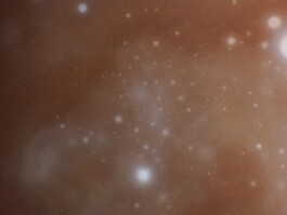 elle kannike, visual artist