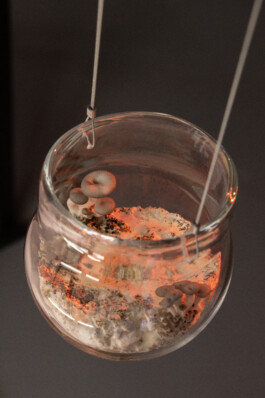 elle kannike, visual artist