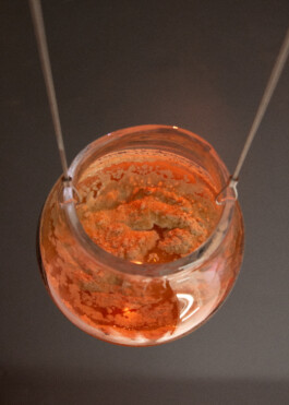 elle kannike, visual artist