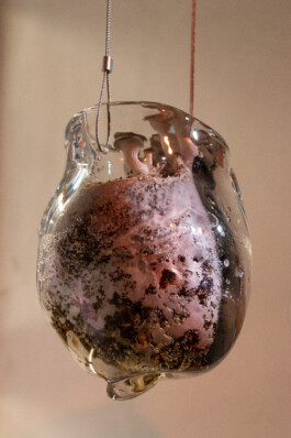 elle kannike, visual artist