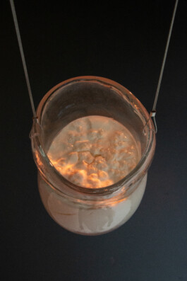 elle kannike, visual artist