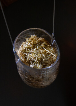 elle kannike, visual artist