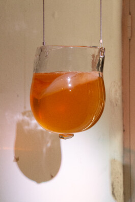 elle kannike, visual artist