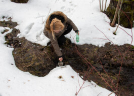 elle kannike, visual artist