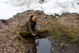 elle kannike, visual artist