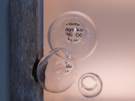 elle kannike, visual artist