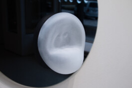 elle kannike, visual artist