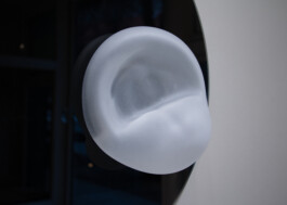 elle kannike, visual artist