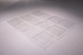 Manifesto for Free Water