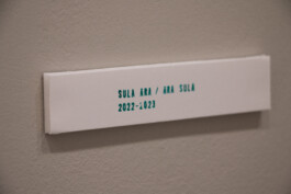 elle kannike, visual artist