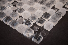 elle kannike, visual artist