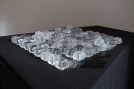 elle kannike, visual artist