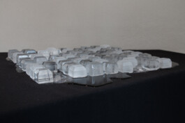 elle kannike, visual artist