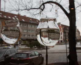 elle kannike, visual artist