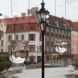 elle kannike, visual artist