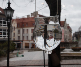 elle kannike, visual artist