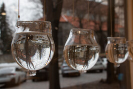 elle kannike, visual artist