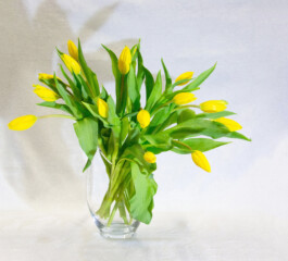 elle kannike, visual artist