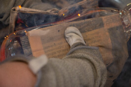 elle kannike, visual artist