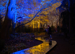 elle kannike, visual artist