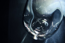 elle kannike, visual artist