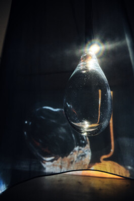 elle kannike, visual artist