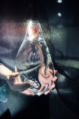 elle kannike, visual artist