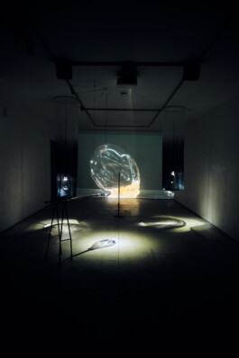 elle kannike, visual artist