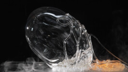 elle kannike, visual artist