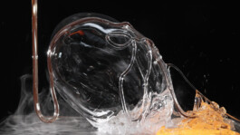 elle kannike, visual artist