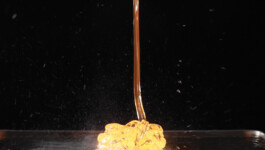 elle kannike, visual artist