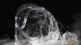 elle kannike, visual artist