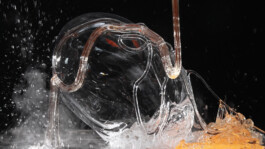 elle kannike, visual artist