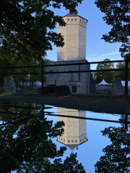 elle kannike, visual artist