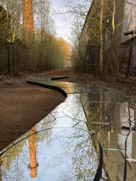 elle kannike, visual artist