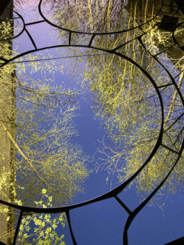 elle kannike, visual artist